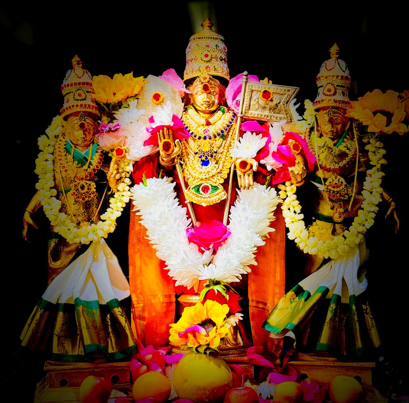 Krithika Puja